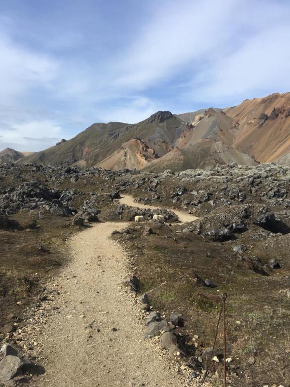 PHOTO-2020-02-09-19-41-49_8