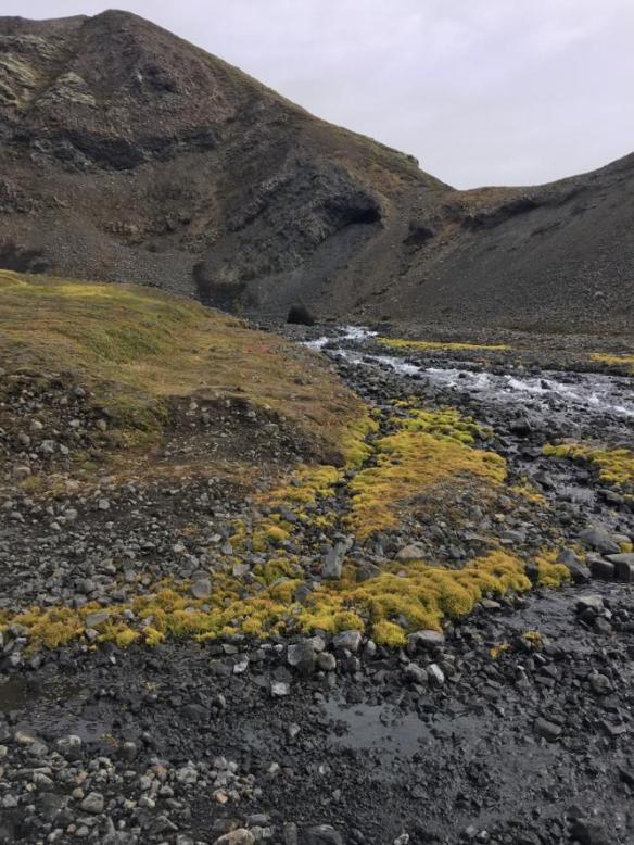 PHOTO-2020-02-09-19-41-49_9